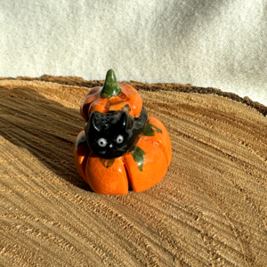 Pumpkin cat