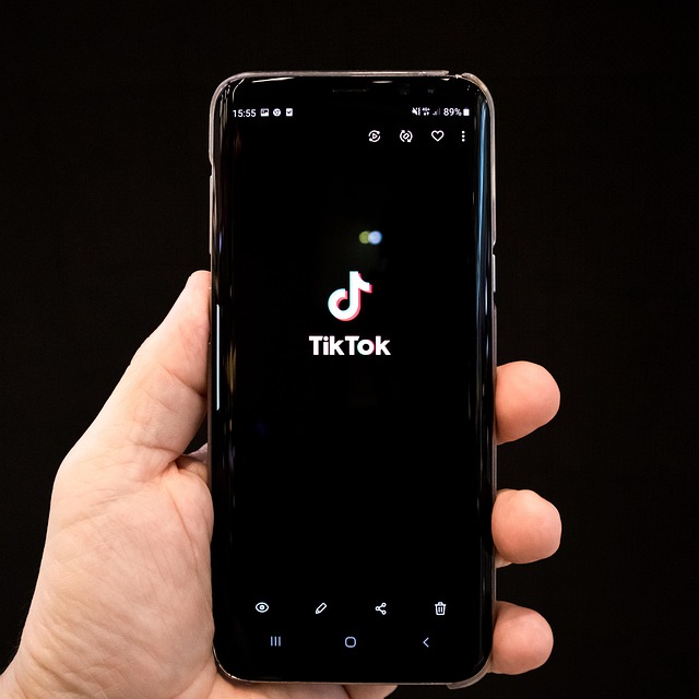 tik-tok-scandale-poterie