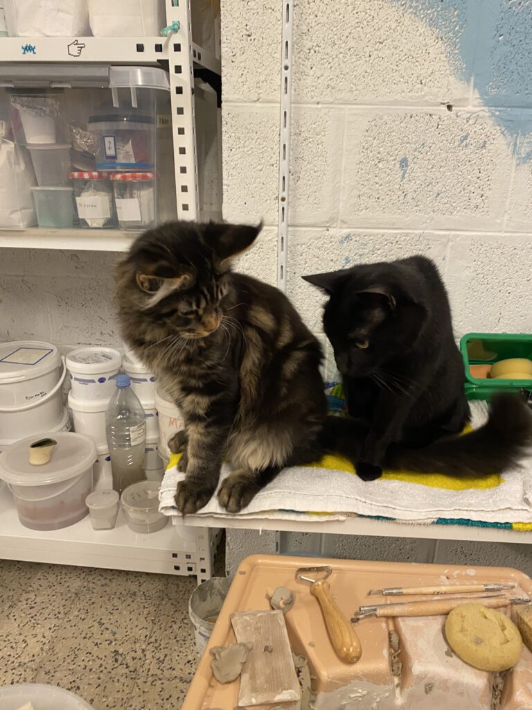 les chats d'auore du chat d'argile